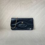 Chanel 31 Wallet On Chain