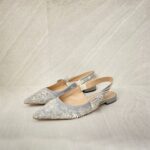 Dior Jadior Flat Toile De Jouy Offwhite Grey