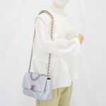 Chanel C19 Small Lambskin Iridescente RHW