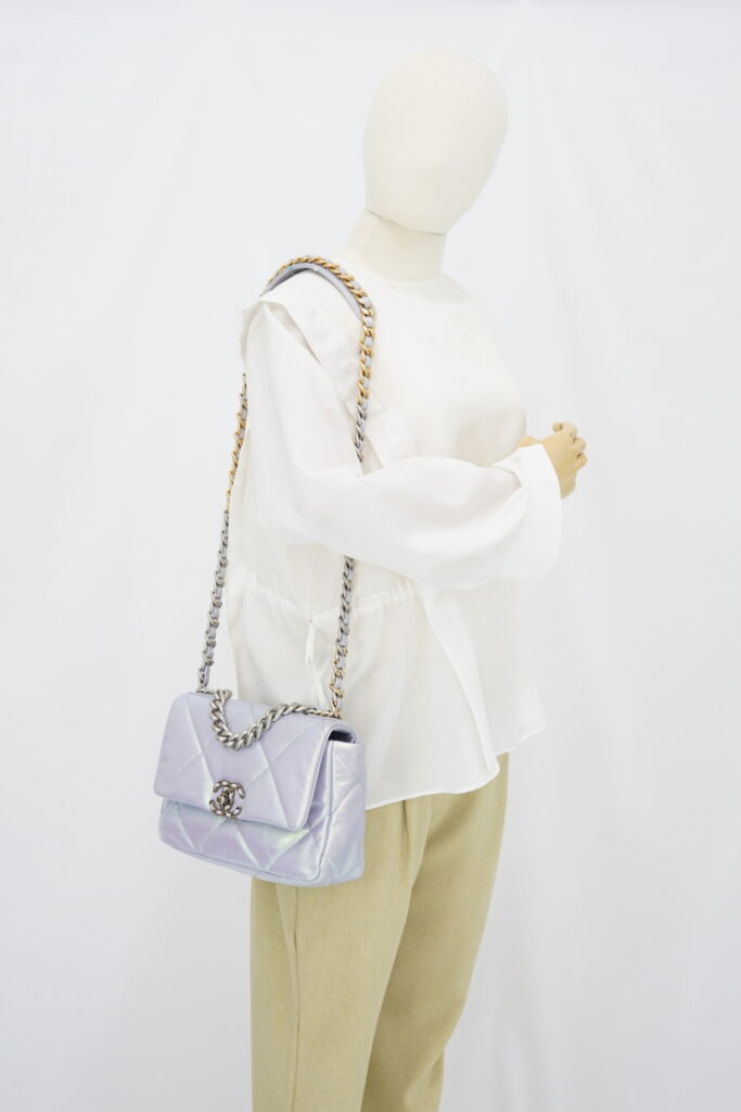 Chanel C19 Small Lambskin Iridescente RHW