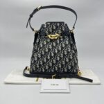 Dior Medium C'est Bag Canvas Oblique Navy GHW