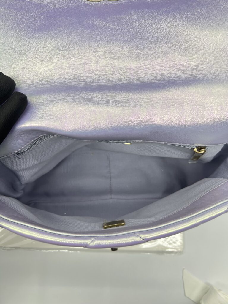 Chanel C19 Small Lambskin Iridescente RHW