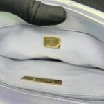 Chanel C19 Small Lambskin Iridescente RHW
