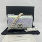 Chanel C19 Small Lambskin Iridescente RHW