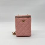 Chanel Vertical Vannity Case Caviar Pink GHW