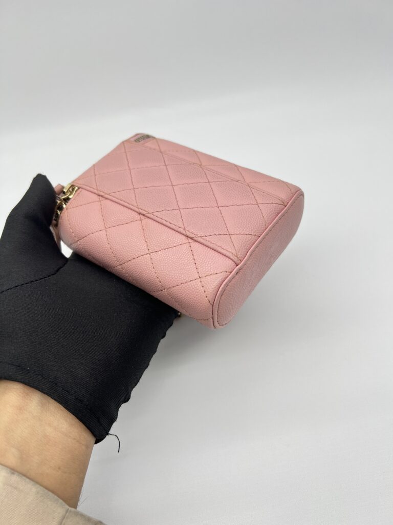 Chanel Vertical Vannity Case Caviar Pink GHW