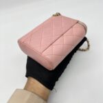 Chanel Vertical Vannity Case Caviar Pink GHW