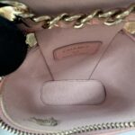 Chanel Vertical Vannity Case Caviar Pink GHW
