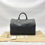Louis Vuitton Speedy 30 Epi Black SHW