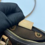 Louis Vuitton Nano Speedy Monogram GHW