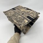 Dior Medium Book Tote Canvas Brown Toile De Jouy