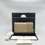Chanel WOC Caviar Brown GHW