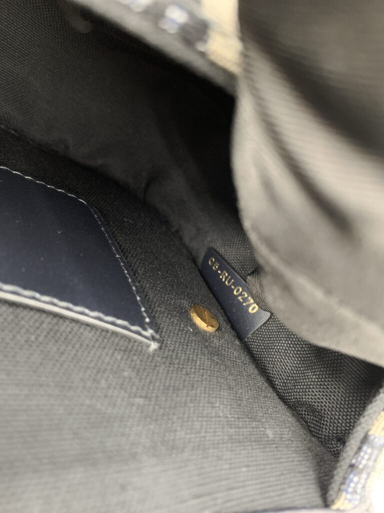 Dior Bobby Medium Canvas Oblique Blue GHW