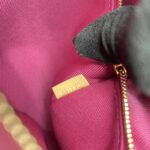 Louis Vuitton Cluny BB Monogram Bordeaux Fuchsia GHW