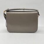 Celine Classique Triomphe Shiny Calfskin Grey GHW