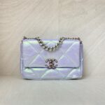 Chanel C19 Small Lambskin Iridescente RHW