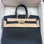 Hermes Birkin 25 Black Togo Clemence Gold Hardware