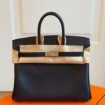 Hermes Birkin 25 Volupto Black Palladium Hardware