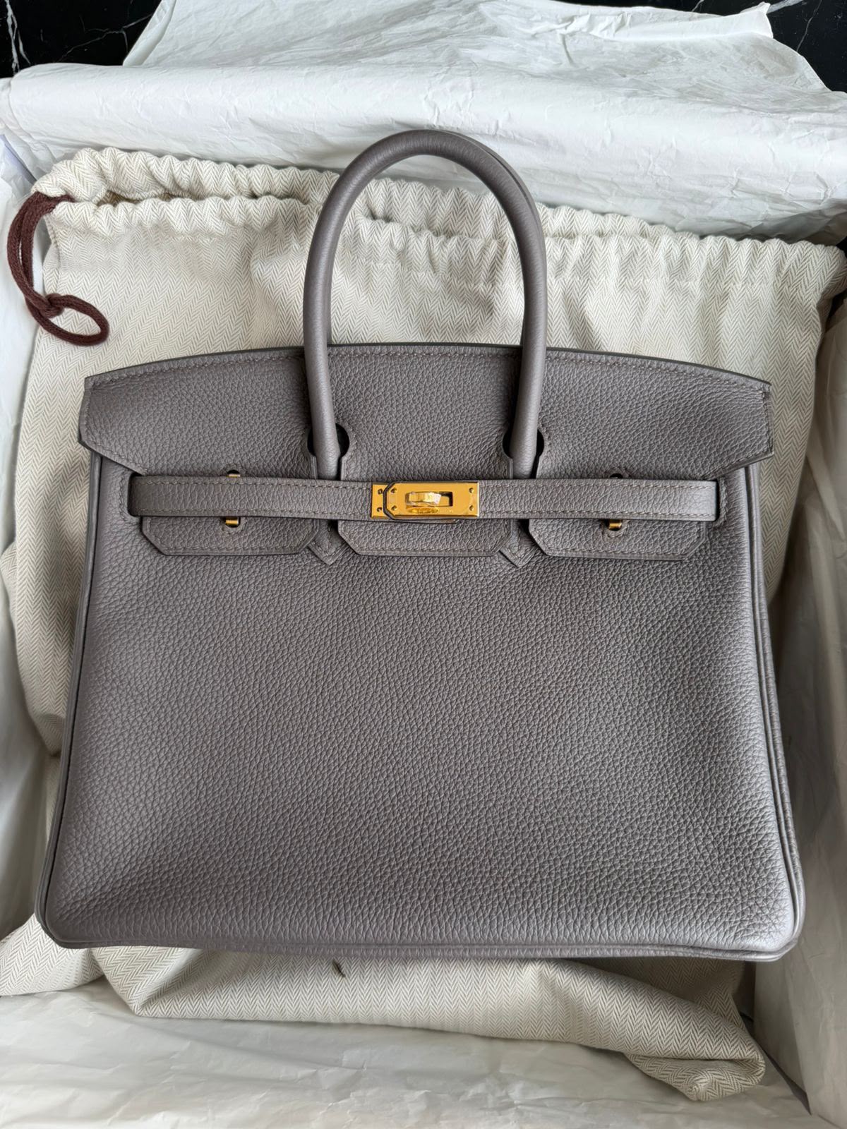 Hermes Birkin 25 Etain Togo Gold Hardware