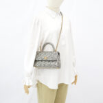 Chanel Small Coco Handle Caviar Metallic Silver GHW