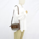Gucci Horsebit Camera GG Supreme Brown GHW