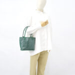 Goyard Mini Anjou Goyardine Vert