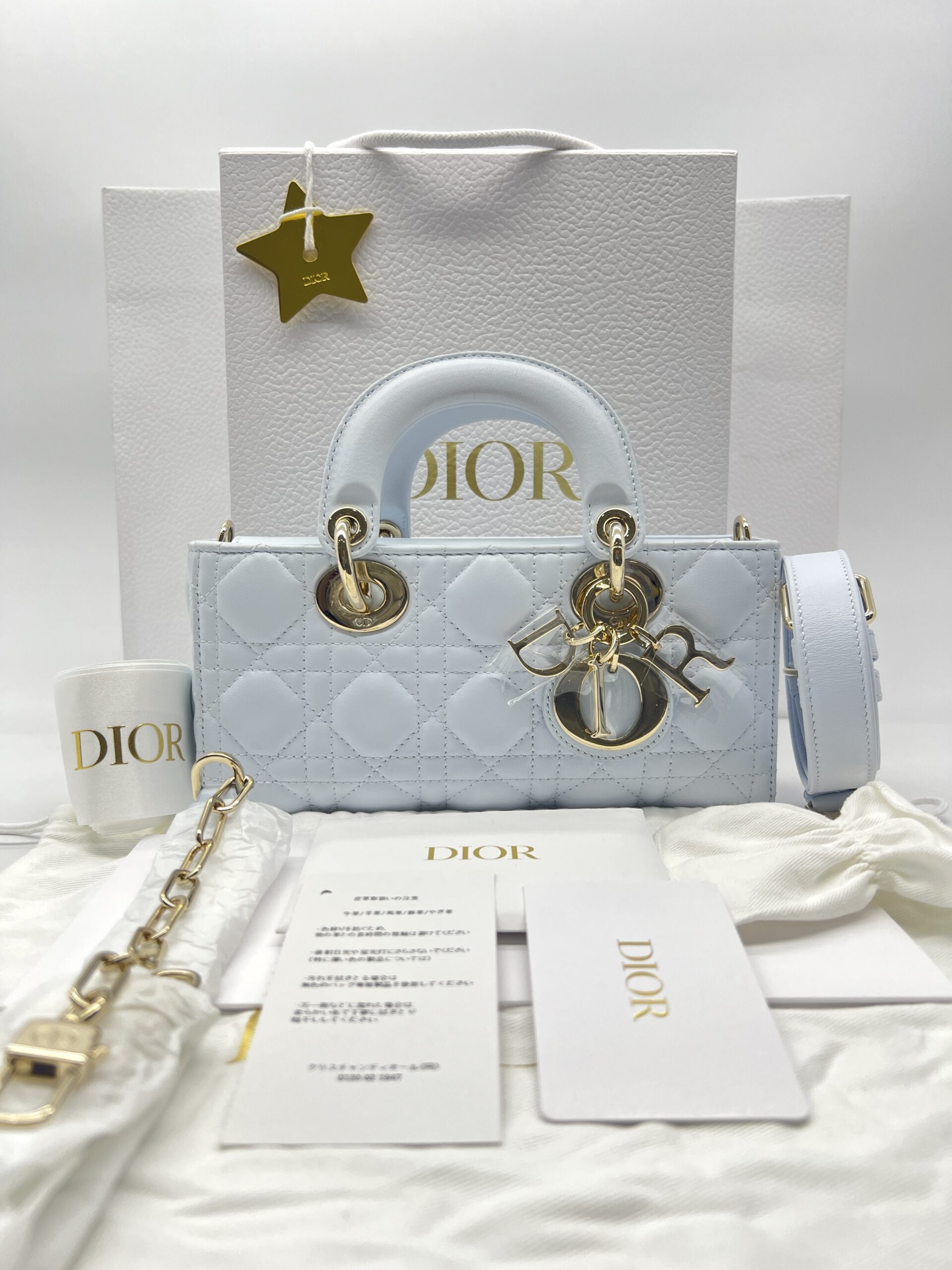Dior Lady D-Joy Small Lambskin Light Blue LGHW