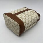 Celine Triomphe Small Bucket White Tan GHW