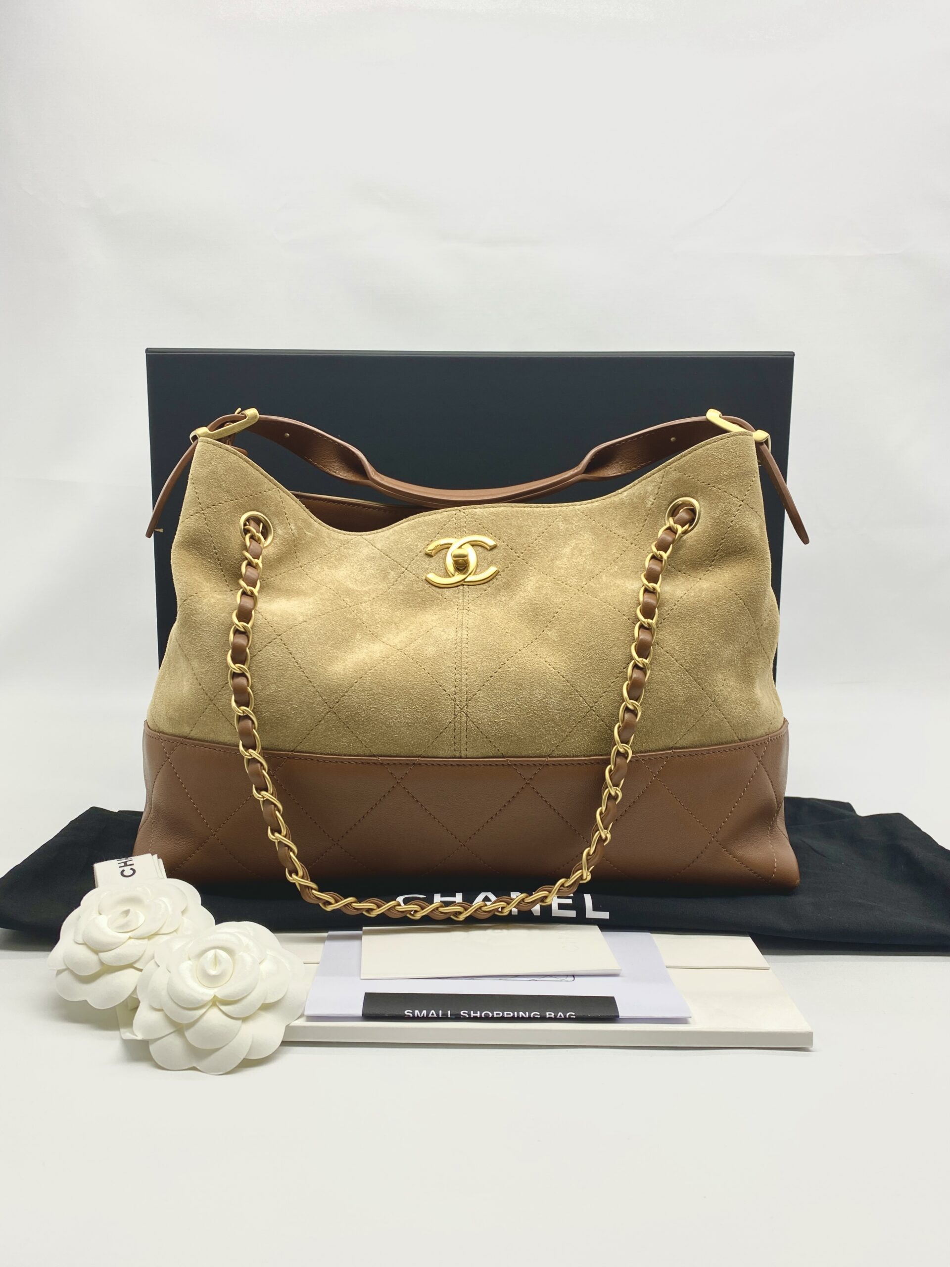 Chanel Small Coco Base Hobo Suede Lambskin Beige/Camel GHW