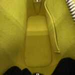 Louis Vuitton Alma BB Epi Pistache SHW