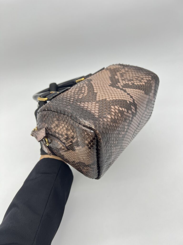 Louis Vuitton Speedy 20 Devoile Python Black Brown GHW