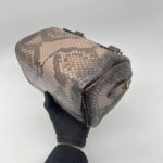 Louis Vuitton Speedy 20 Devoile Python Black Brown GHW