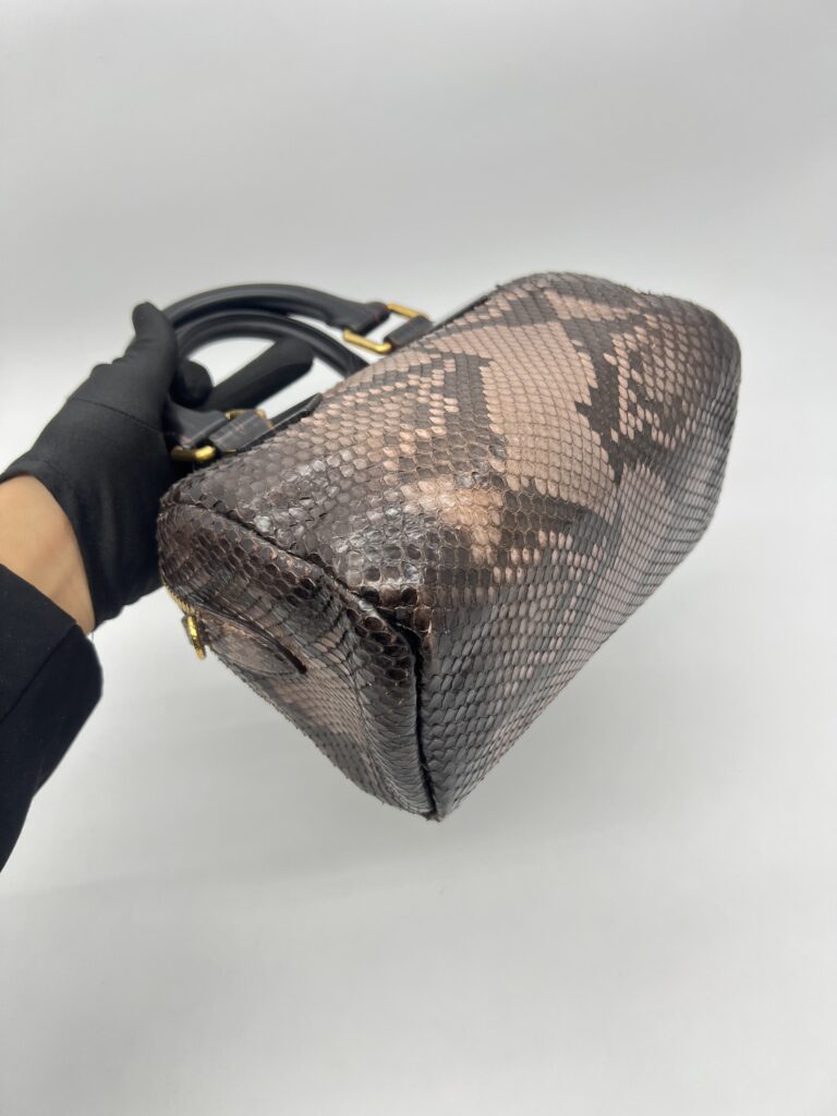 Louis Vuitton Speedy 20 Devoile Python Black Brown GHW