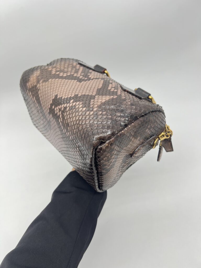 Louis Vuitton Speedy 20 Devoile Python Black Brown GHW
