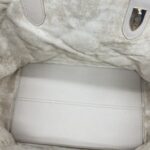 Dior Toujours Medium Powder Beige GHW