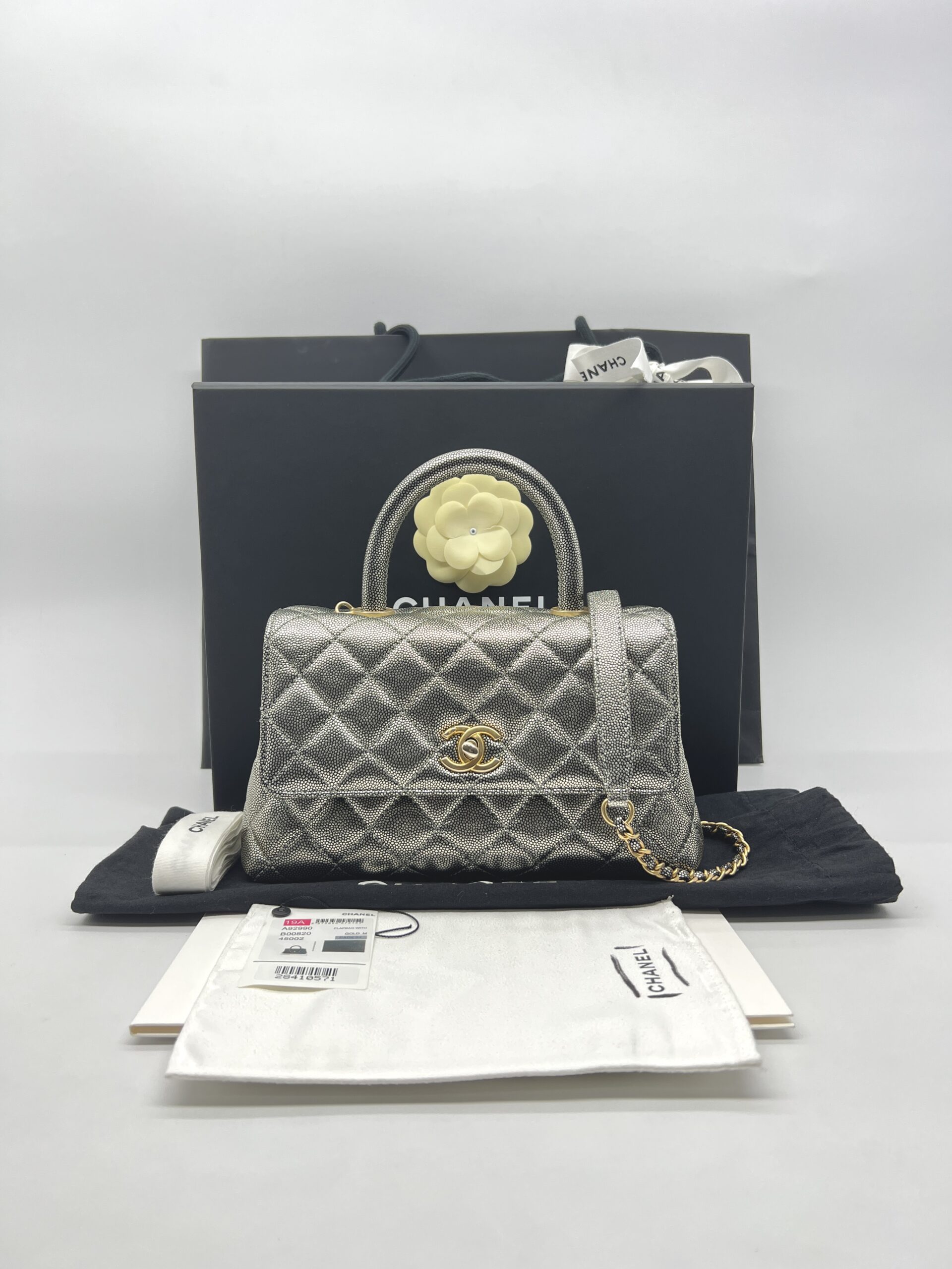 Chanel Small Coco Handle Caviar Metallic Silver GHW