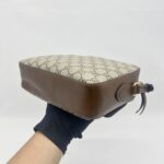 Gucci Horsebit Camera GG Supreme Brown GHW
