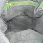 Louis Vuitton Noe Epi Borneo Green GHW