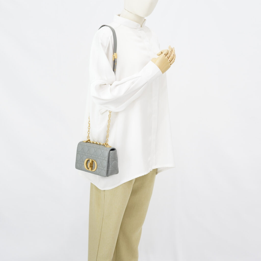 Dior Caro Small Gray GHW