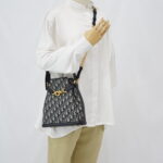 Dior Medium C’est Bag Canvas Blue Oblique GHW