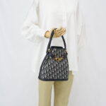 Dior Medium C’est Bag Canvas Blue Oblique GHW