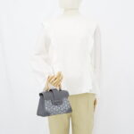 Goyard Saigon Souple Mini Goyardine Gris SHW
