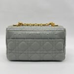 Dior Caro Small Gray GHW