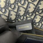 Dior 30 Montaigne Canvas Blue Oblique GHW
