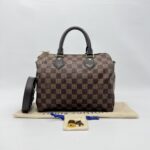 Louis Vuitton Speedy Bandou 25 Damier Ebene GHW