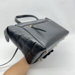 Celine Mini Belt Bag Croco Embossed Black GHW