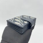Dior 31 Montaigne Dandelion Canvas Oblique Navy GHW