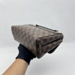 Louis Vuitton Vavin PM Damier Ebene GHW