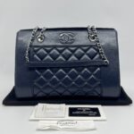 Chanel Mademoiselle Vintage Bag Navy SHW
