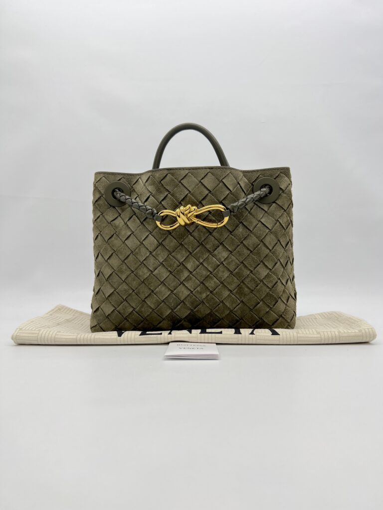 Bottega Veneta Small Andiamo Suede Intrecciato Cypress GHW